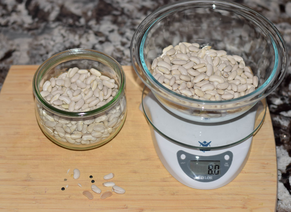 cannellini beans on scale